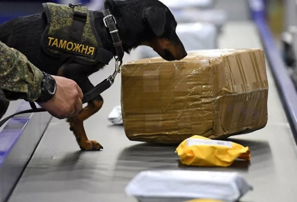 В России зафиксирован рост случаев контрабанды товаров