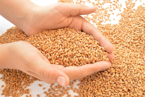 Увеличение экспорта агропромышленной продукции