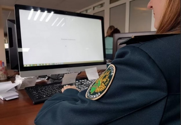 ФТС сосредотачивает декларирование в специализированных ЦЭДах