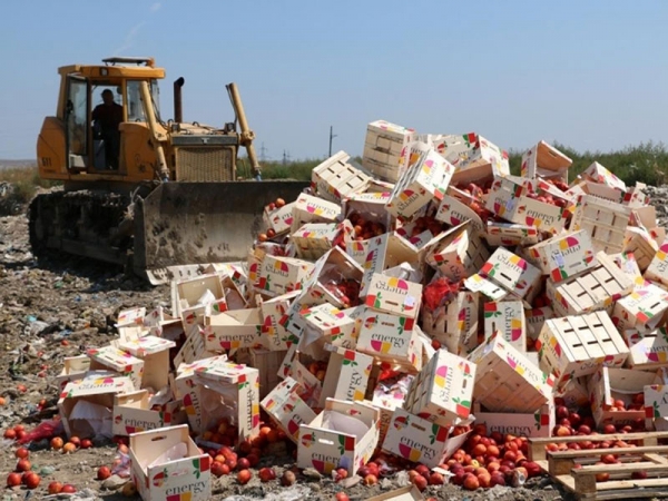 Раскрыты методы ввоза запрещённой продукции в Россию